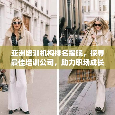 亞洲培訓機構(gòu)排名揭曉，探尋最佳培訓公司，助力職場成長！