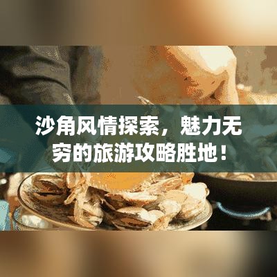 沙角風情探索，魅力無窮的旅游攻略勝地！