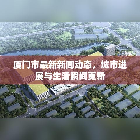 廈門市最新新聞動態(tài)，城市進展與生活瞬間更新