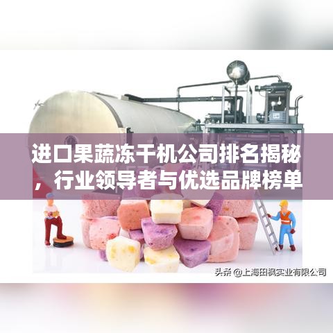 進(jìn)口果蔬凍干機(jī)公司排名揭秘，行業(yè)領(lǐng)導(dǎo)者與優(yōu)選品牌榜單揭曉！