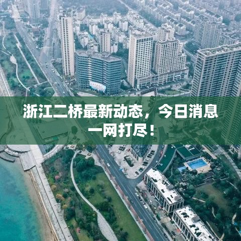浙江二橋最新動態(tài)，今日消息一網(wǎng)打盡！