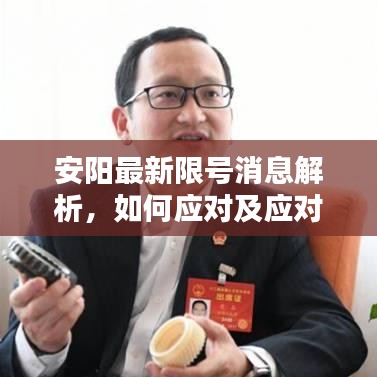 安陽最新限號消息解析，如何應(yīng)對及應(yīng)對建議！