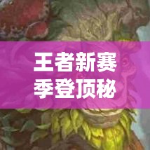 王者新賽季登頂秘籍，成為頂尖玩家的進(jìn)階攻略