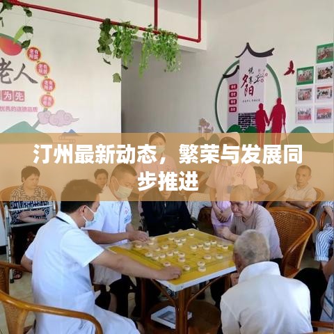 汀州最新動態(tài)，繁榮與發(fā)展同步推進