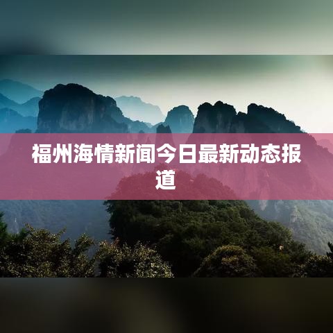 福州海情新聞今日最新動態(tài)報道