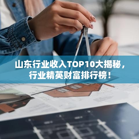 山東行業(yè)收入TOP10大揭秘，行業(yè)精英財富排行榜！