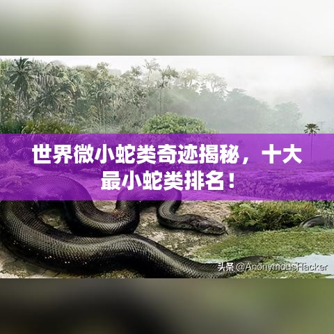 世界微小蛇類奇跡揭秘，十大最小蛇類排名！