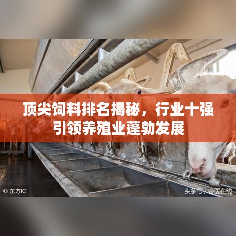 長頸鳥喙 第4頁