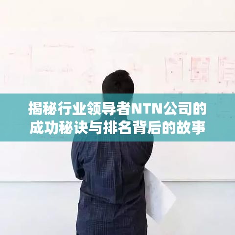 揭秘行業(yè)領(lǐng)導(dǎo)者NTN公司的成功秘訣與排名背后的故事