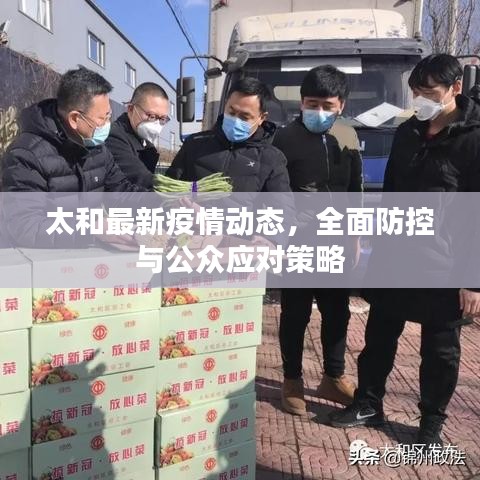 太和最新疫情動(dòng)態(tài)，全面防控與公眾應(yīng)對(duì)策略