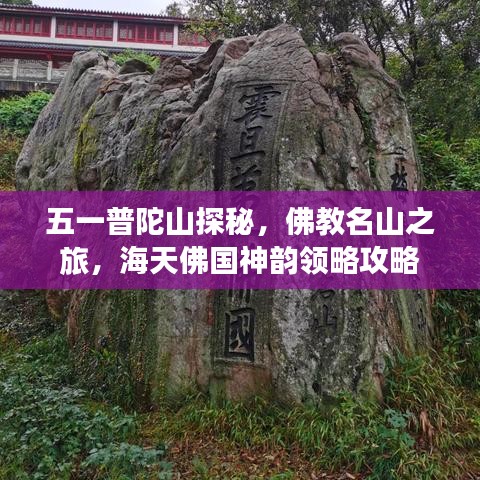 五一普陀山探秘，佛教名山之旅，海天佛國(guó)神韻領(lǐng)略攻略