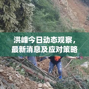 洪峰今日動(dòng)態(tài)觀察，最新消息及應(yīng)對策略發(fā)布