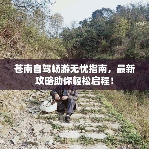 蒼南自駕暢游無憂指南，最新攻略助你輕松啟程！