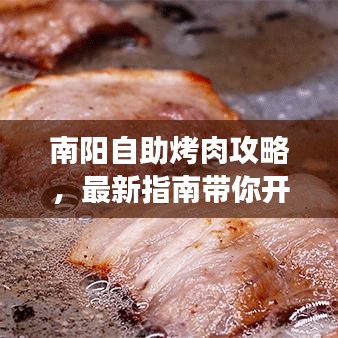 南陽自助烤肉攻略，最新指南帶你開啟美味之旅