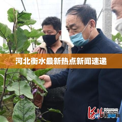沉厚寡言 第3頁