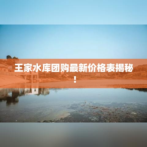 司空見慣 第3頁(yè)
