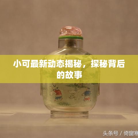 小可最新動(dòng)態(tài)揭秘，探秘背后的故事