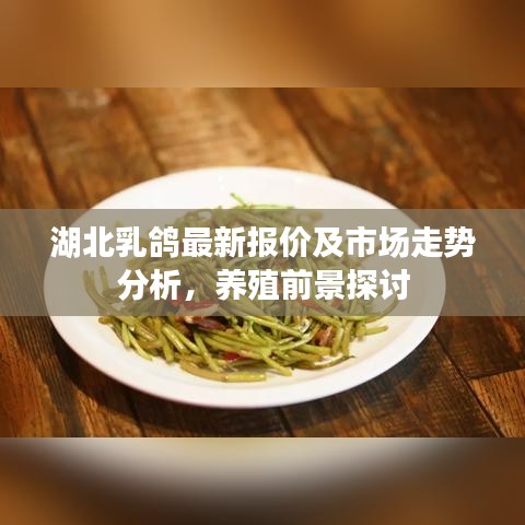 湖北乳鴿最新報價及市場走勢分析，養(yǎng)殖前景探討