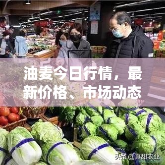 飛沙走石 第3頁