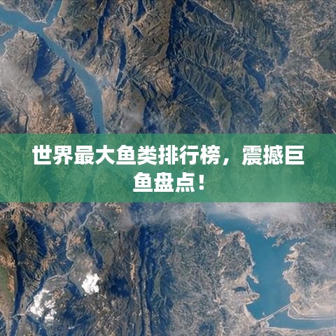 世界最大魚類排行榜，震撼巨魚盤點(diǎn)！