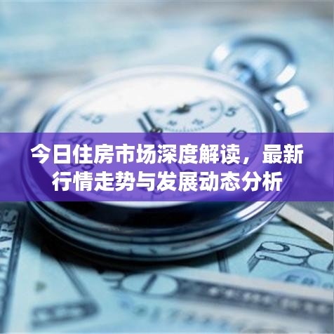 今日住房市場深度解讀，最新行情走勢與發(fā)展動態(tài)分析