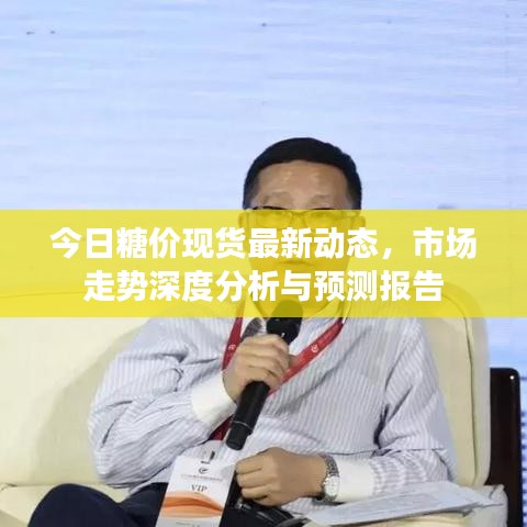 今日糖價現(xiàn)貨最新動態(tài)，市場走勢深度分析與預測報告