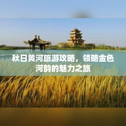 秋日黃河旅游攻略，領(lǐng)略金色河韻的魅力之旅