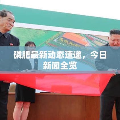 磷肥最新動(dòng)態(tài)速遞，今日新聞全覽