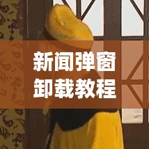 新聞彈窗卸載教程，打造清爽閱讀體驗(yàn)