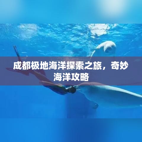 成都極地海洋探索之旅，奇妙海洋攻略