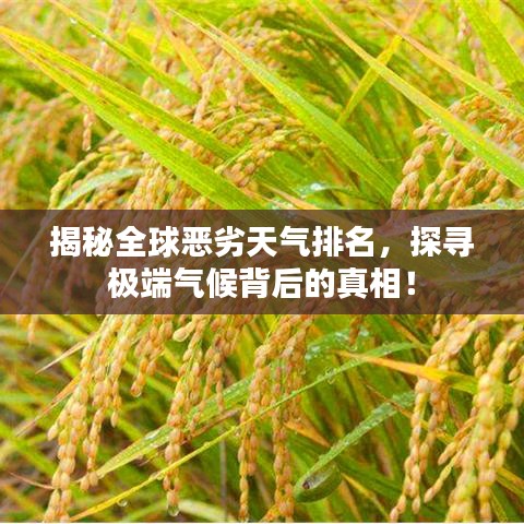 揭秘全球惡劣天氣排名，探尋極端氣候背后的真相！