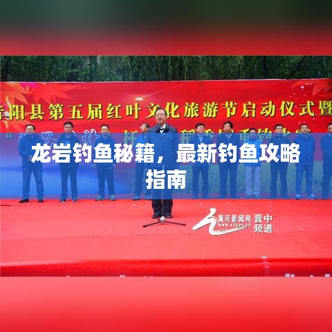 龍巖釣魚秘籍，最新釣魚攻略指南