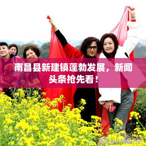 南昌縣新建鎮(zhèn)蓬勃發(fā)展，新聞?lì)^條搶先看！