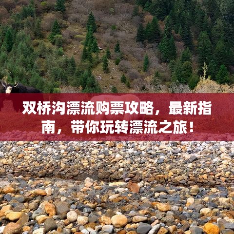 嬌小玲瓏 第3頁(yè)
