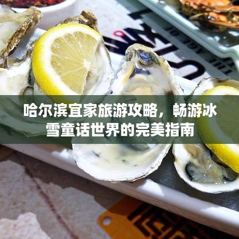 哈爾濱宜家旅游攻略，暢游冰雪童話世界的完美指南