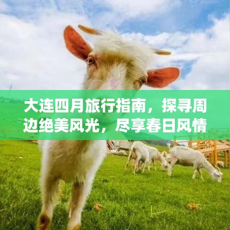 大連四月旅行指南，探尋周邊絕美風(fēng)光，盡享春日風(fēng)情體驗(yàn)