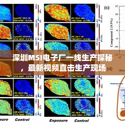 深圳MSI電子廠一線生產(chǎn)探秘，最新視頻直擊生產(chǎn)現(xiàn)場
