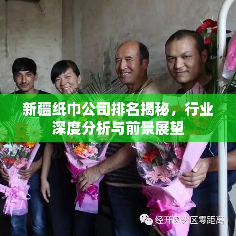 新疆紙巾公司排名揭秘，行業(yè)深度分析與前景展望