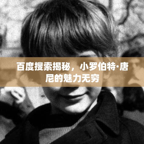 百度搜索揭秘，小羅伯特·唐尼的魅力無窮