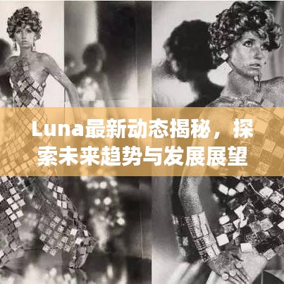 Luna最新動態(tài)揭秘，探索未來趨勢與發(fā)展展望