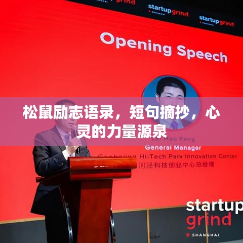 松鼠勵志語錄，短句摘抄，心靈的力量源泉