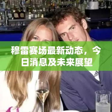 穆雷賽場最新動態(tài)，今日消息及未來展望