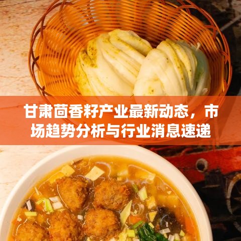 甘肅茴香籽產(chǎn)業(yè)最新動態(tài)，市場趨勢分析與行業(yè)消息速遞