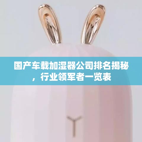 國產(chǎn)車載加濕器公司排名揭秘，行業(yè)領(lǐng)軍者一覽表