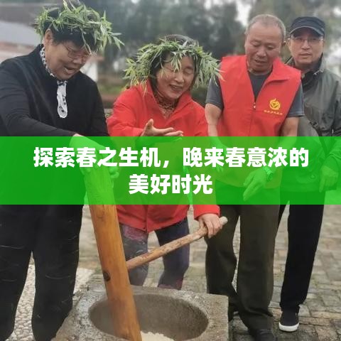探索春之生機(jī)，晚來(lái)春意濃的美好時(shí)光