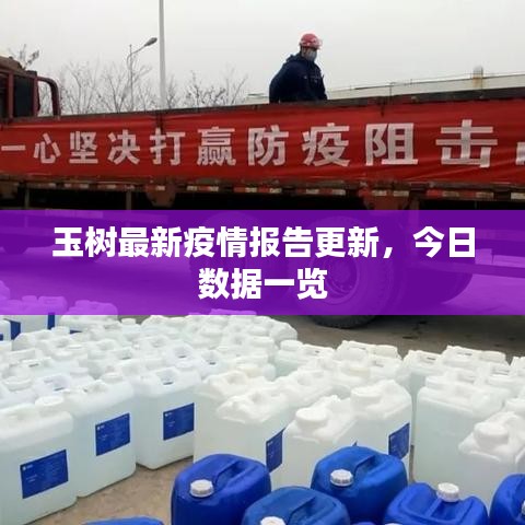 玉樹最新疫情報告更新，今日數據一覽