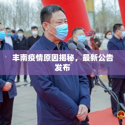 豐南疫情原因揭秘，最新公告發(fā)布