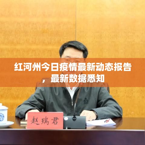 紅河州今日疫情最新動態(tài)報告，最新數(shù)據(jù)悉知