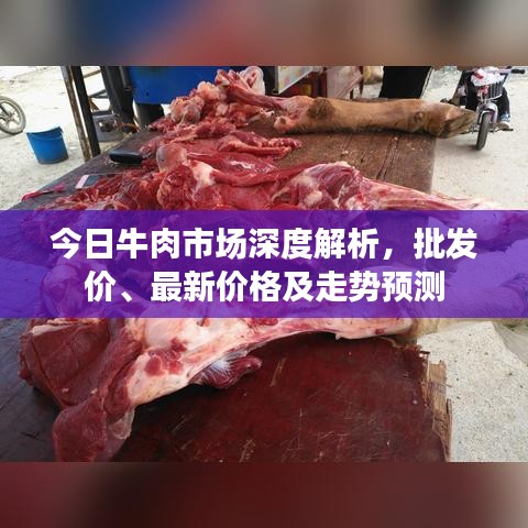 綱舉目張 第3頁(yè)