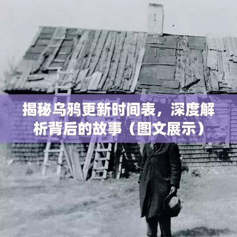揭秘烏鴉更新時間表，深度解析背后的故事（圖文展示）